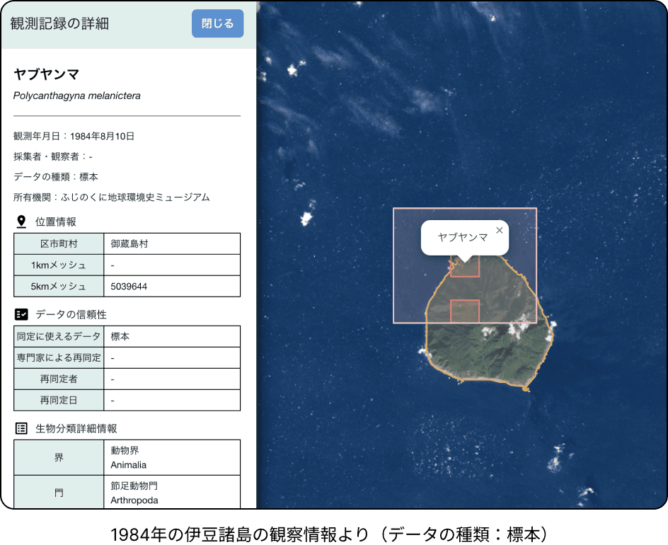 1984年の伊豆諸島の観察情報（標本データ）より
