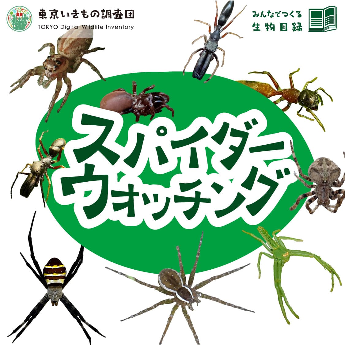 東京いきもの調査団で実施したクエスト(Biomeアプリ内の調査イベント)のヘッダー画像