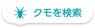クモ目録の検索画面
