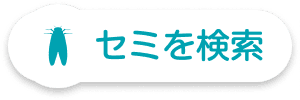 セミ目録の検索画面