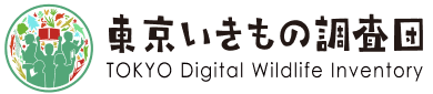 東京いきもの調査団