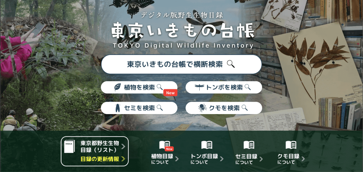 検索を開始する
